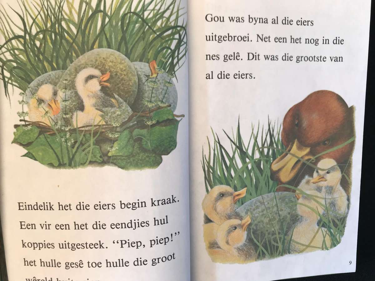 Sprokies Reeks 6 boekies