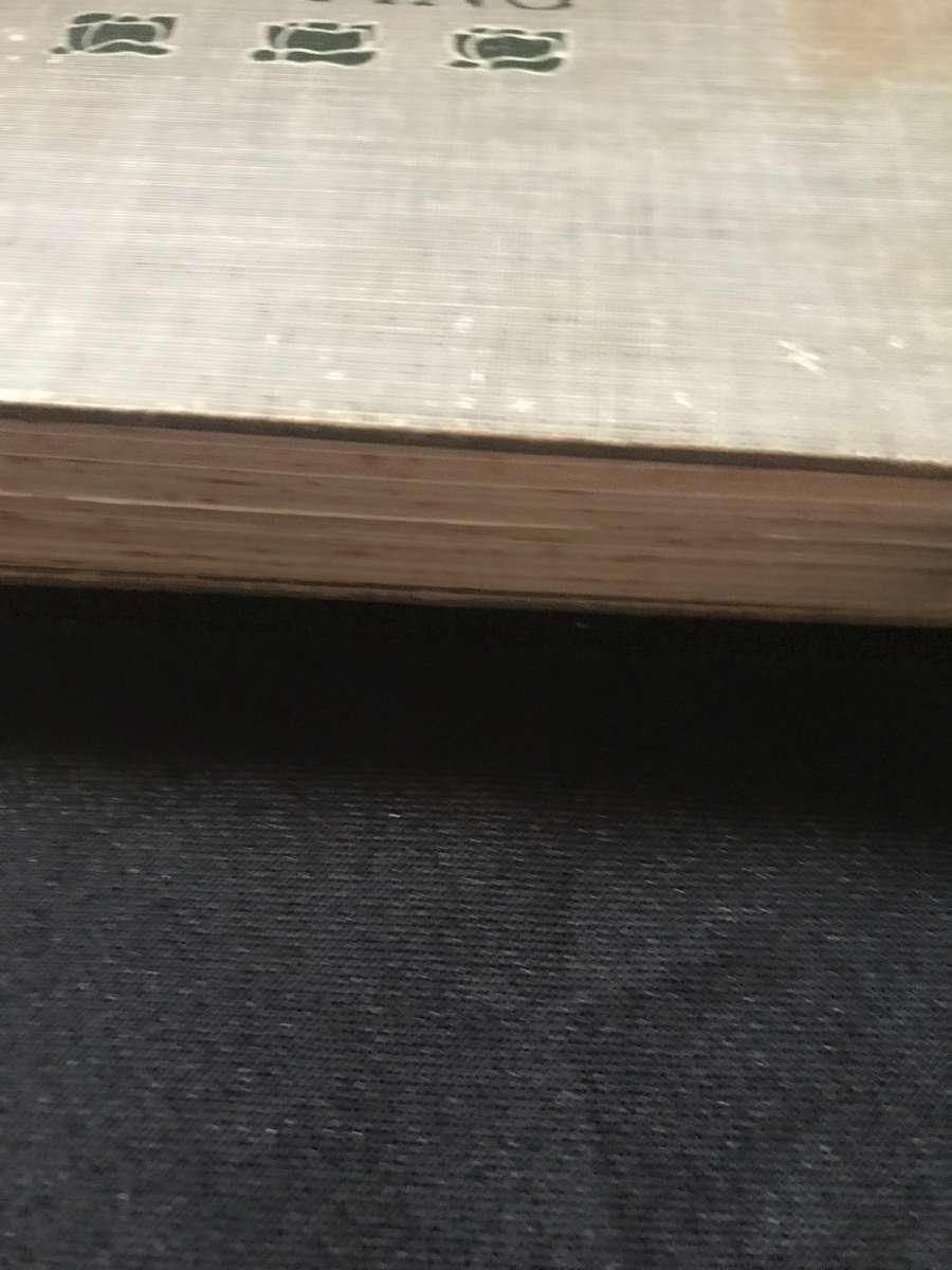 Mrs Wiggs of the Cabbage Patch Alice Hegan Rice