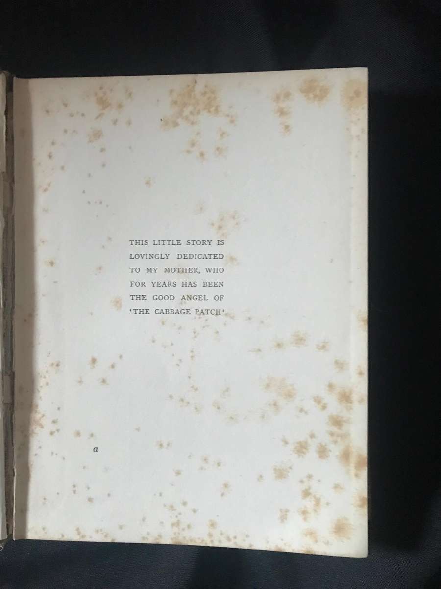 Mrs Wiggs of the Cabbage Patch Alice Hegan Rice