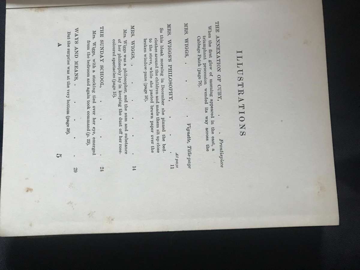 Mrs Wiggs of the Cabbage Patch Alice Hegan Rice