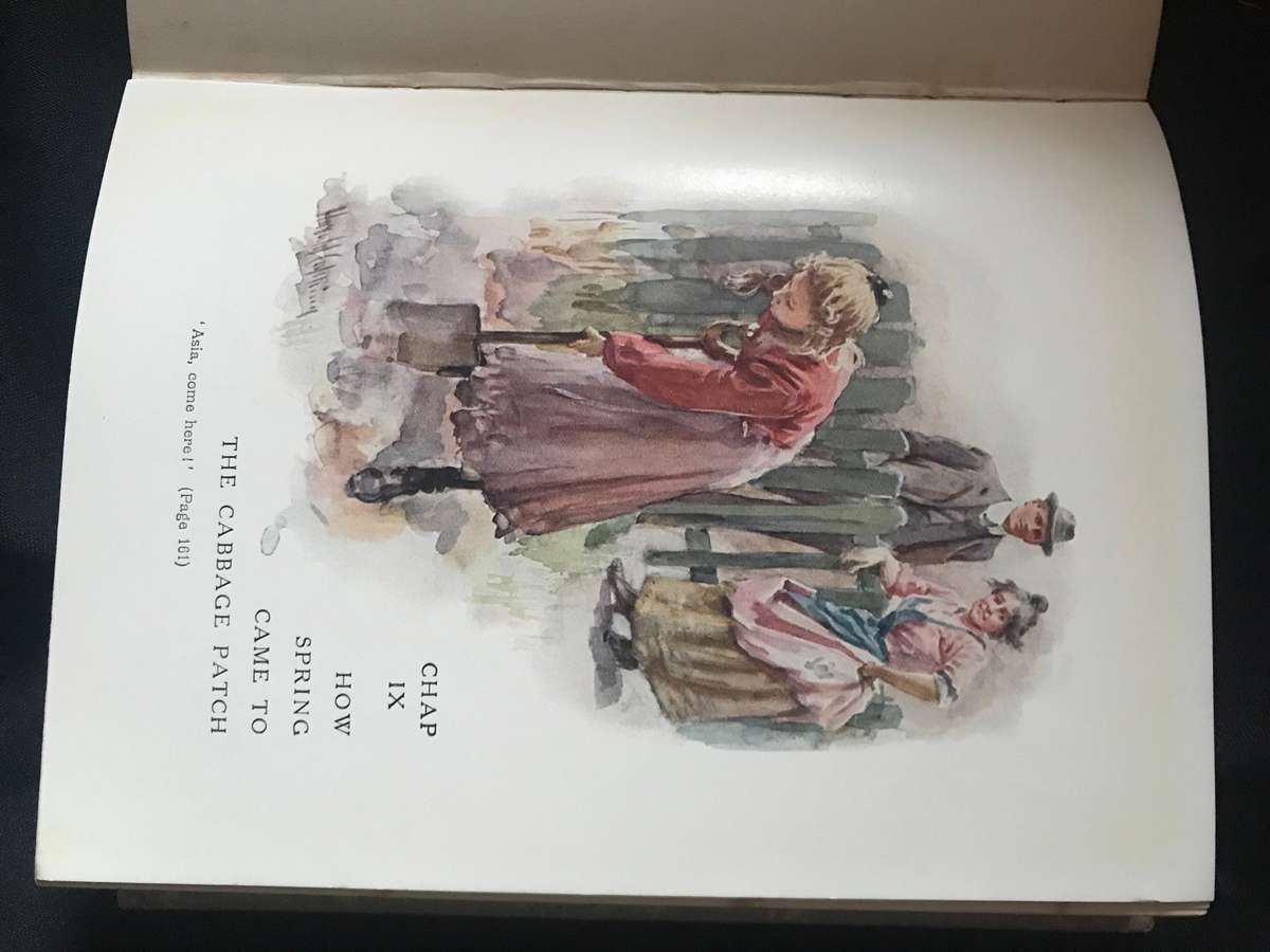 Mrs Wiggs of the Cabbage Patch Alice Hegan Rice