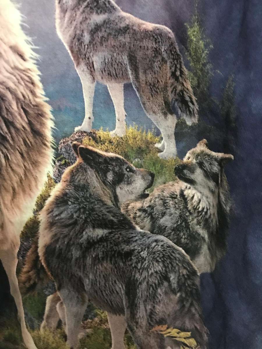 David Penfound "The Mountain" Wolf T-Shirt Small