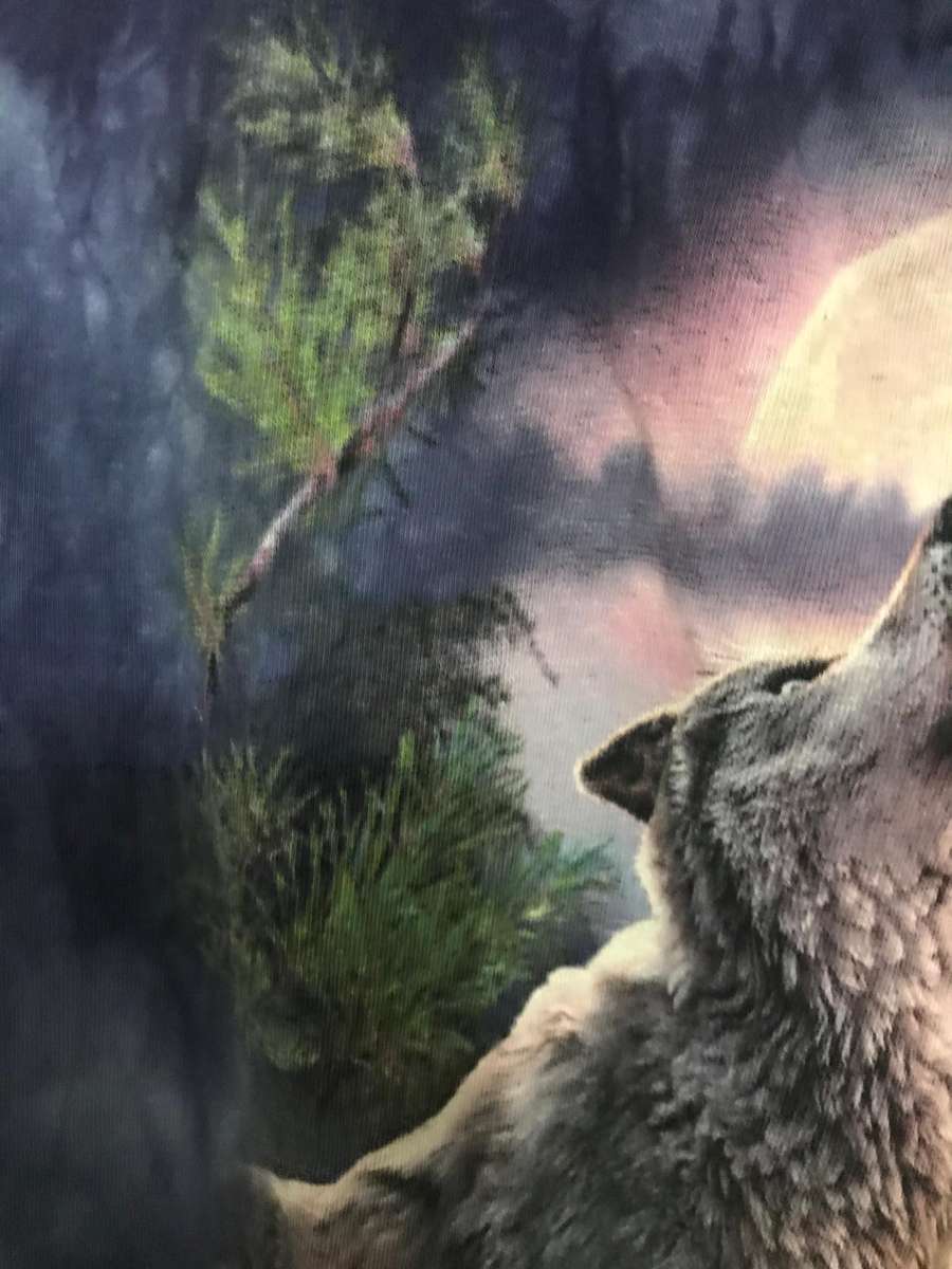 David Penfound "The Mountain" Wolf T-Shirt Small