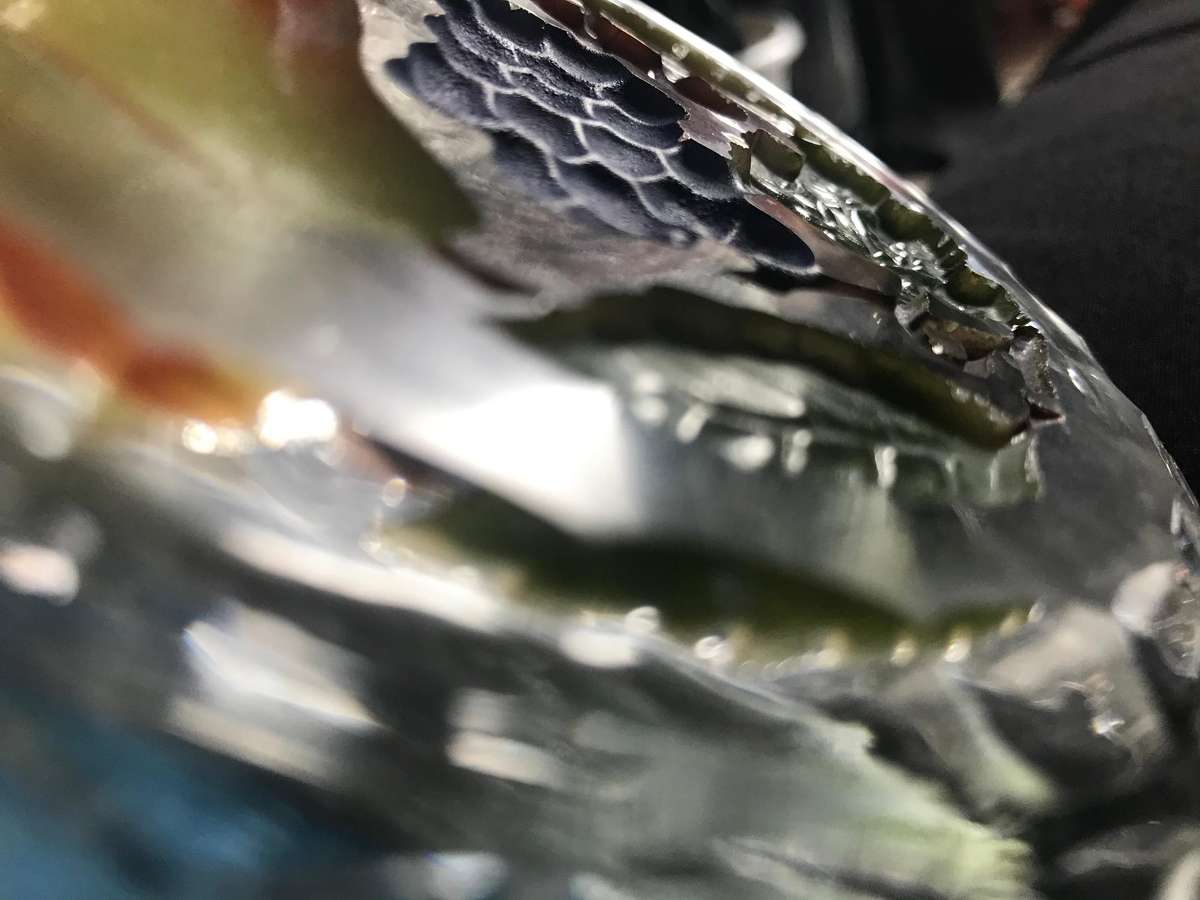 Stunning glass plates with carved fruit bottom x 6