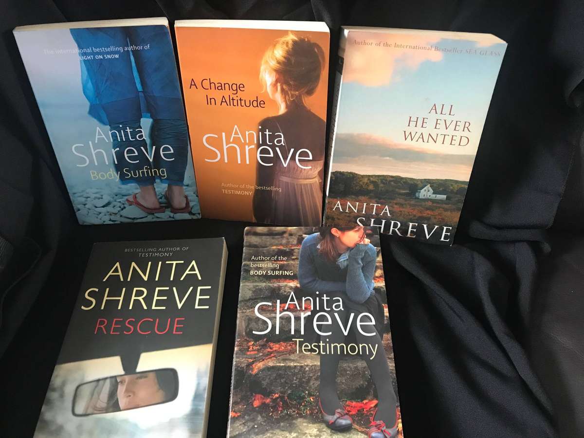Anita Shreve Novels Lot 5