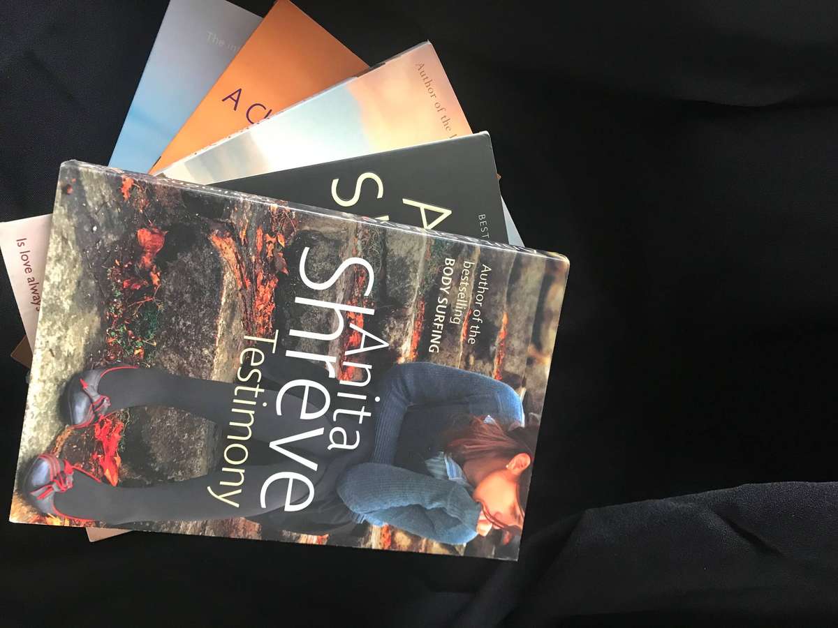 Anita Shreve Novels Lot 5