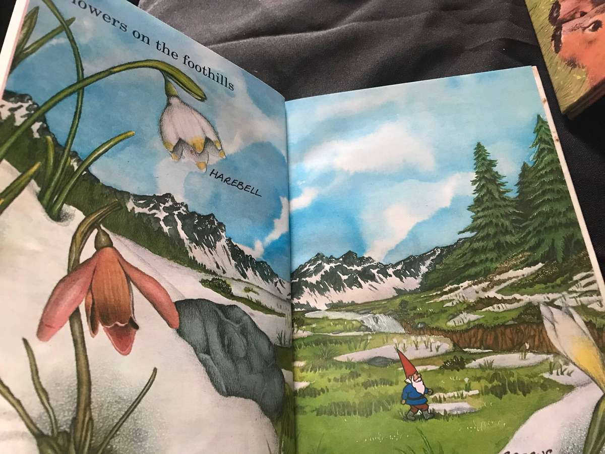 The Secret Book Of Gnomes 28 books