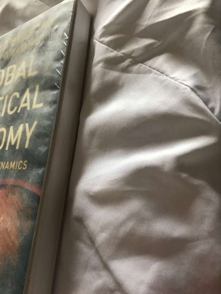 Global Political Economy: Evolution and Dynamics Paperback Robert O'Brien, Marc Williams