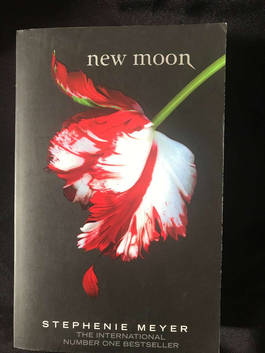 Stephenie Meyer Twilight and New Moon & Stephen King Four Past Midnight