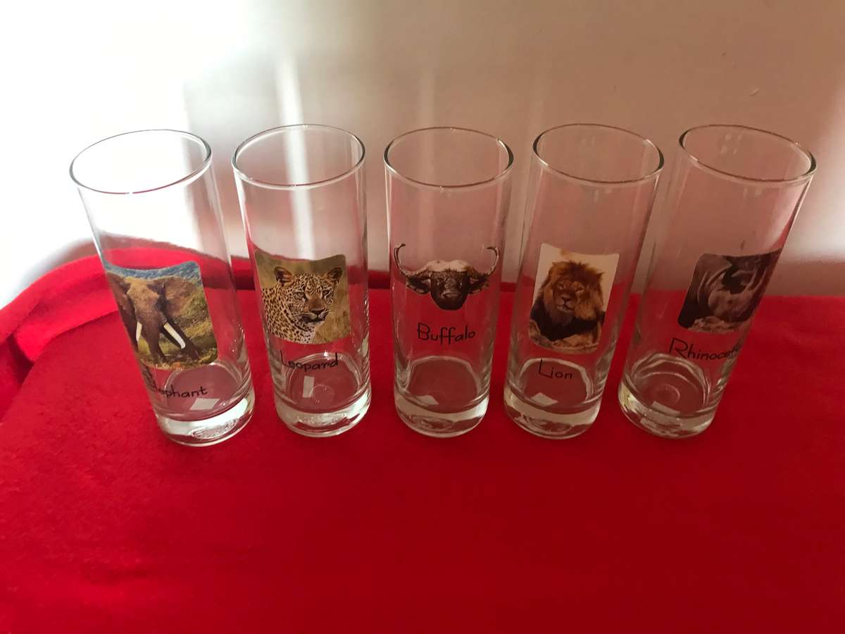 Big 5 glasses