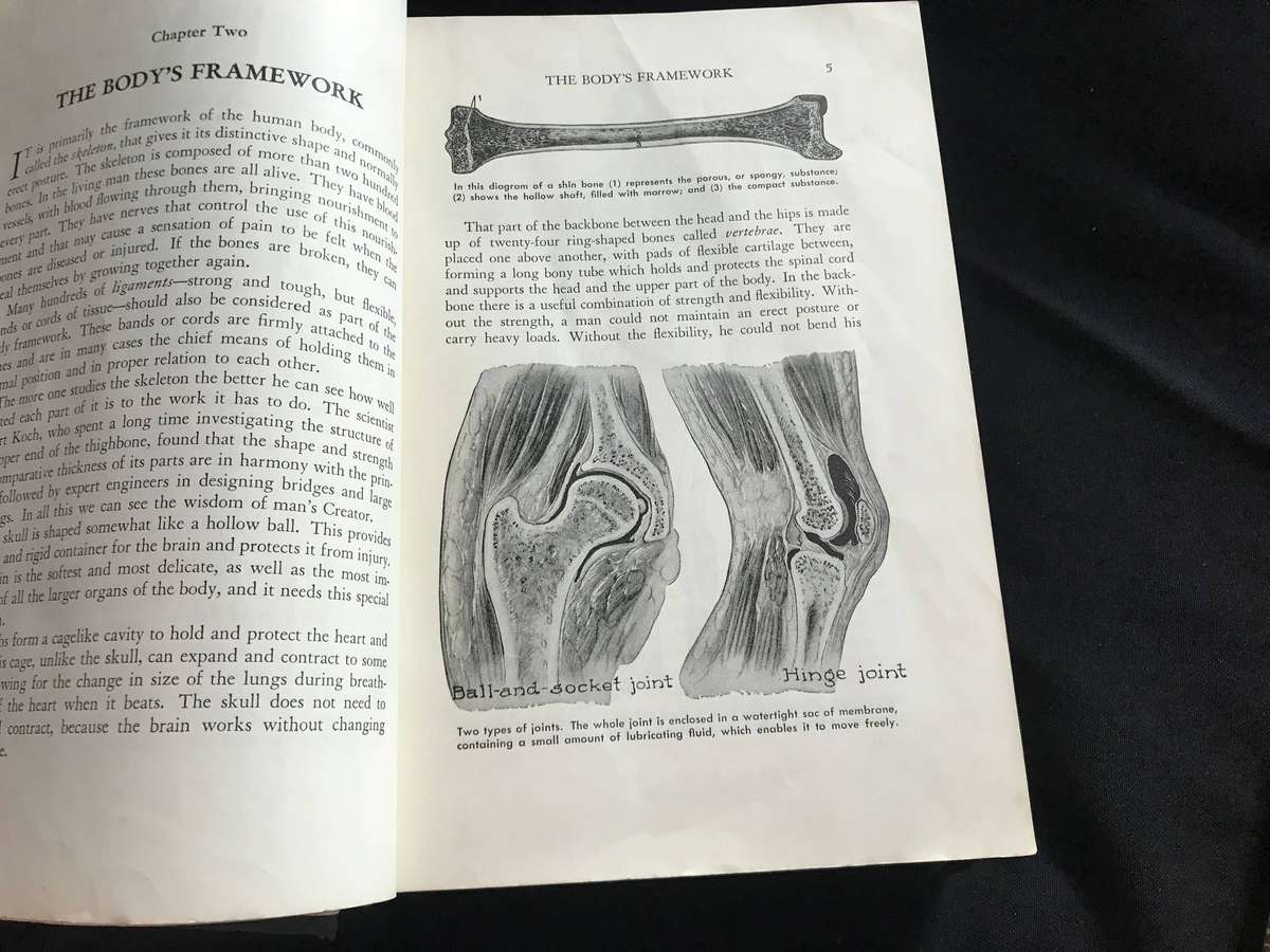 Vintage Modern Medical Counselor 1951 fourth edition medic and Everybodys Family Doctor 1935