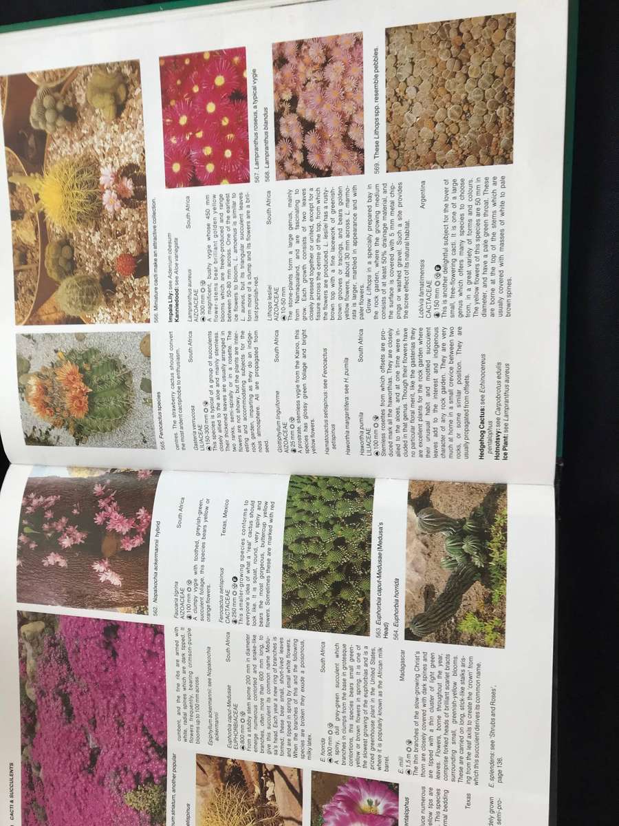 Gardening books x 3