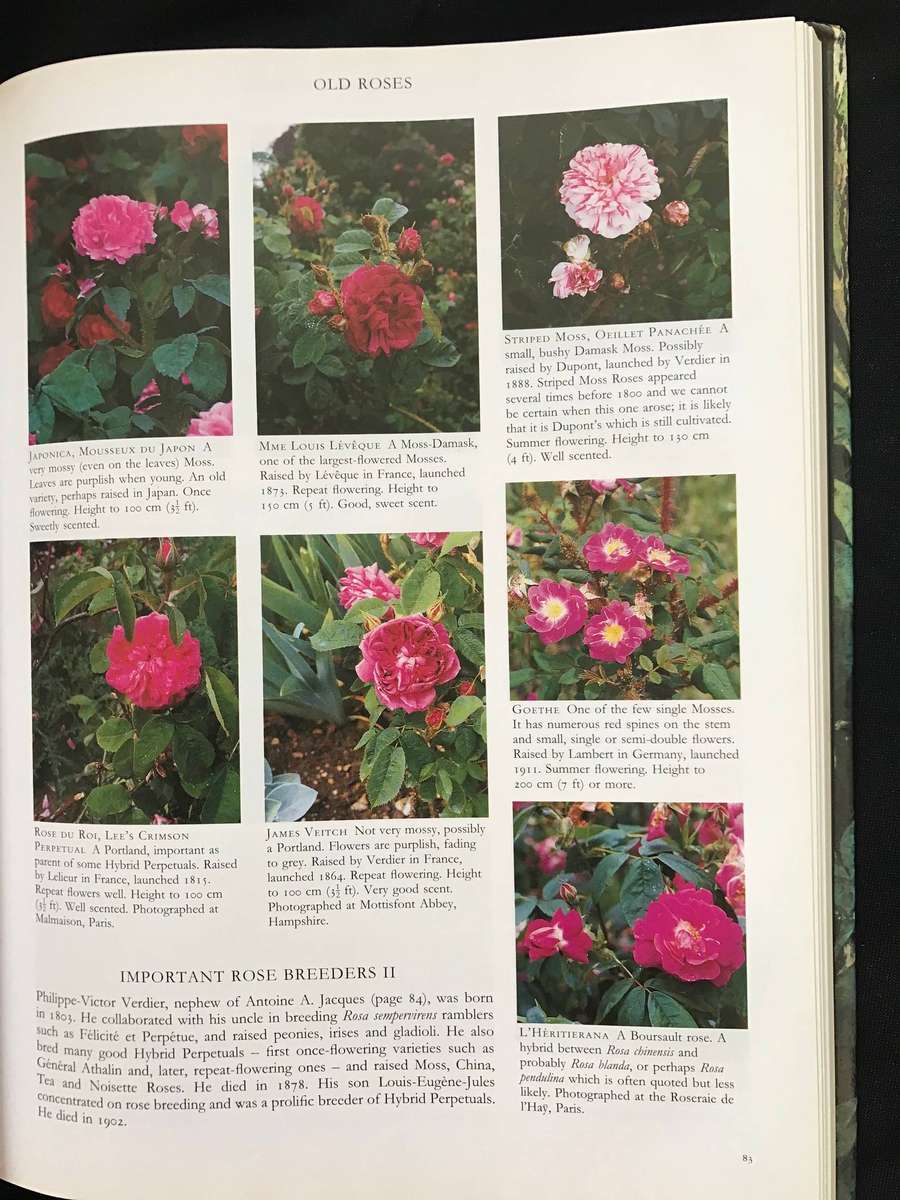 Gardening books x 3