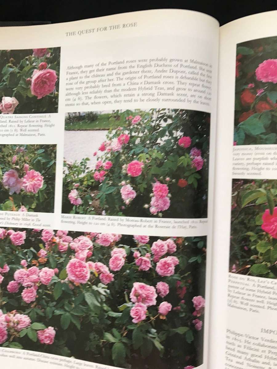 Gardening books x 3