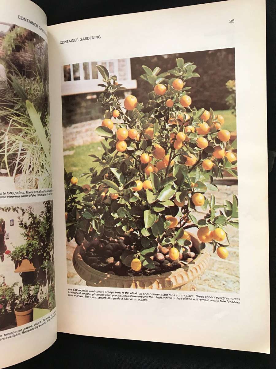 Gardening books x 3