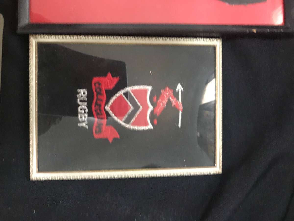Durban Rugby club badges in frames and plague