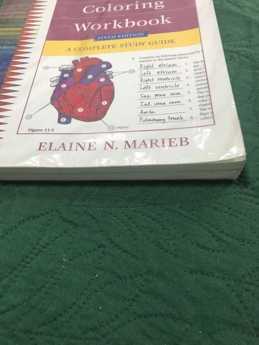 Anatomy And Physiology Coloring Workbook 6 edition by Elaine N Marieb
