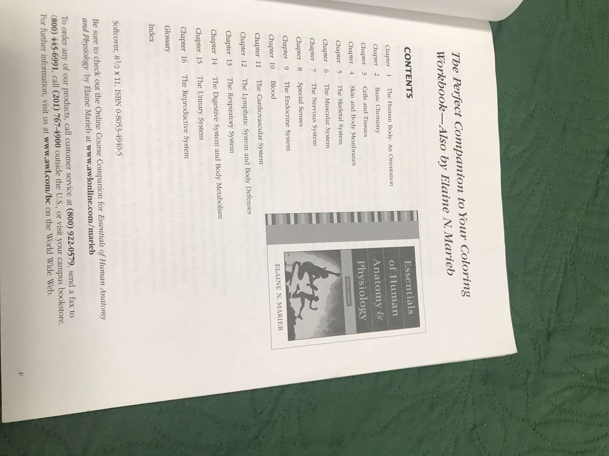 Anatomy And Physiology Coloring Workbook 6 edition by Elaine N Marieb