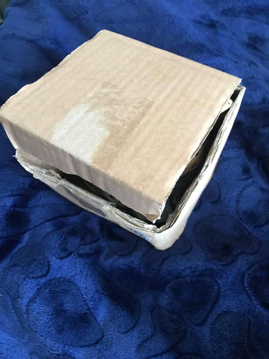 LEONARD THE LEOPARD POT PLANTER 15.5X14.5X11CM NEW Nice gift for Christmas 