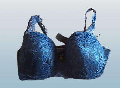 Clothing : Temptations Blue Lace Bra 38D