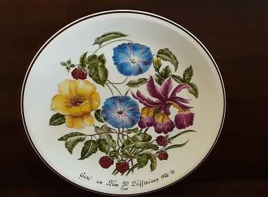 Villeroy and Boch Floral Plate 26 cm