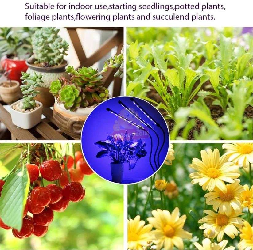 3 Adjustable Light Head LED Grow Light system