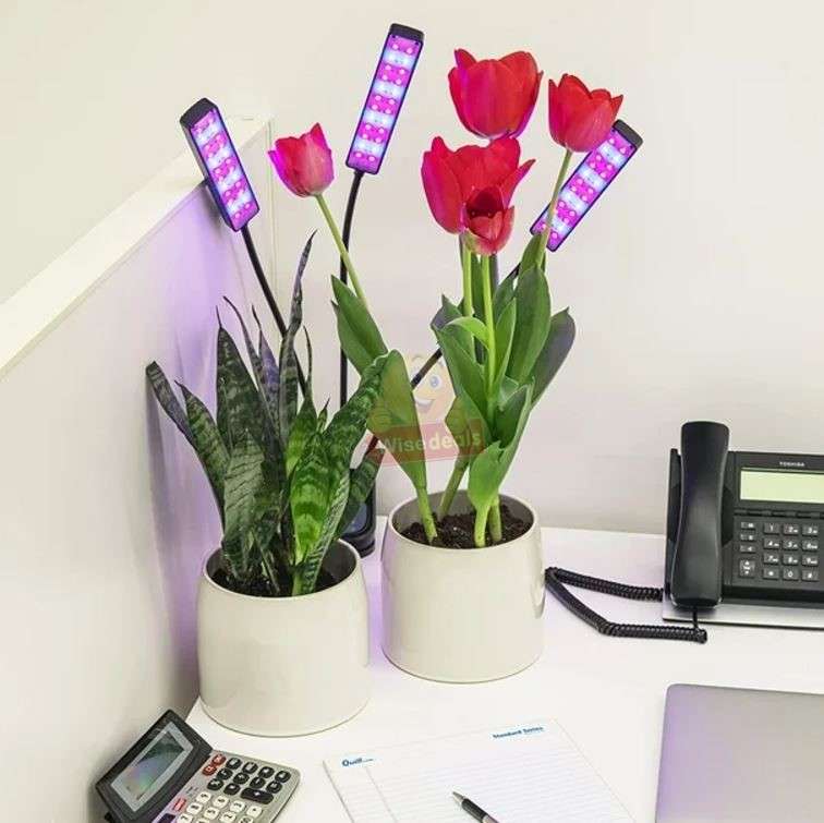 3 Adjustable Light Head LED Grow Light system