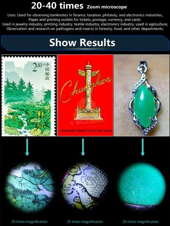 Handheld Mini Pocket Microscope 20X - 40X Optical Zoom with LED Light