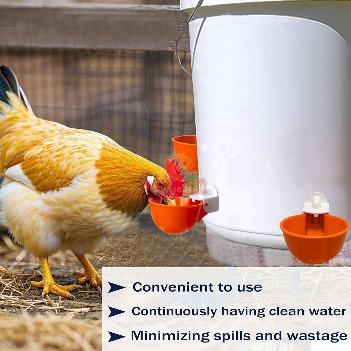 5 Piece Chicken Water Feeders with attachments