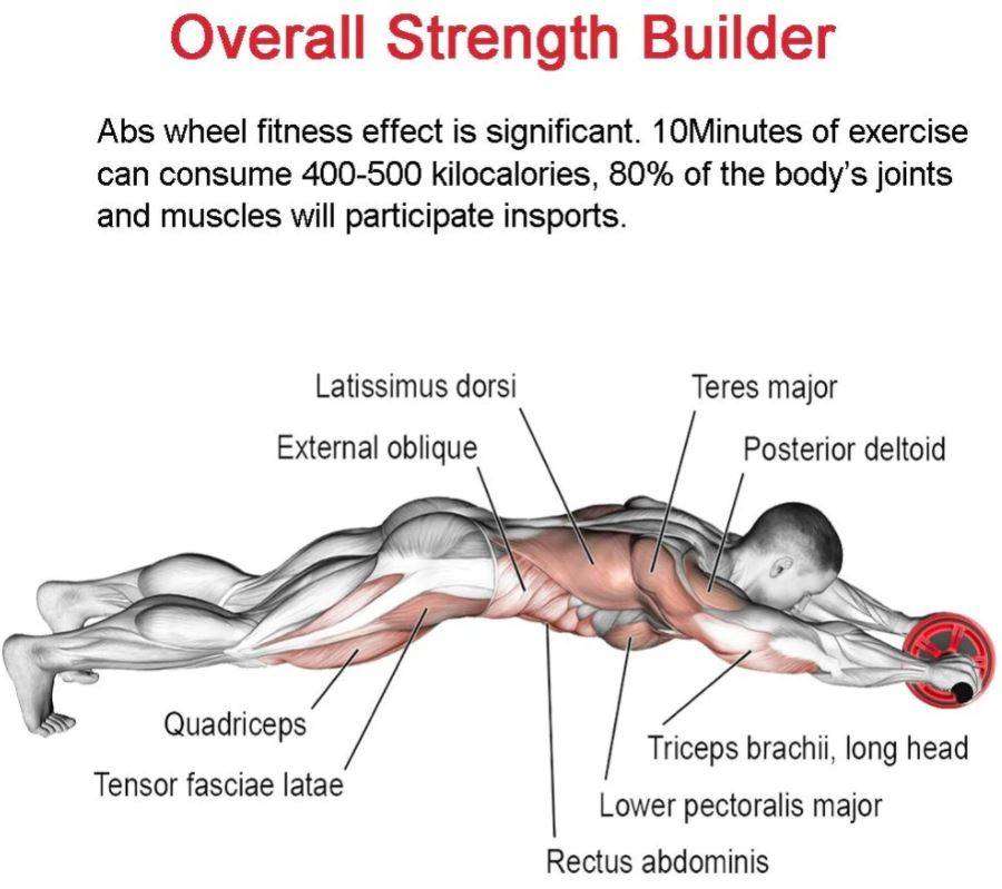 Full Body Workout AB Wheel Exerciser