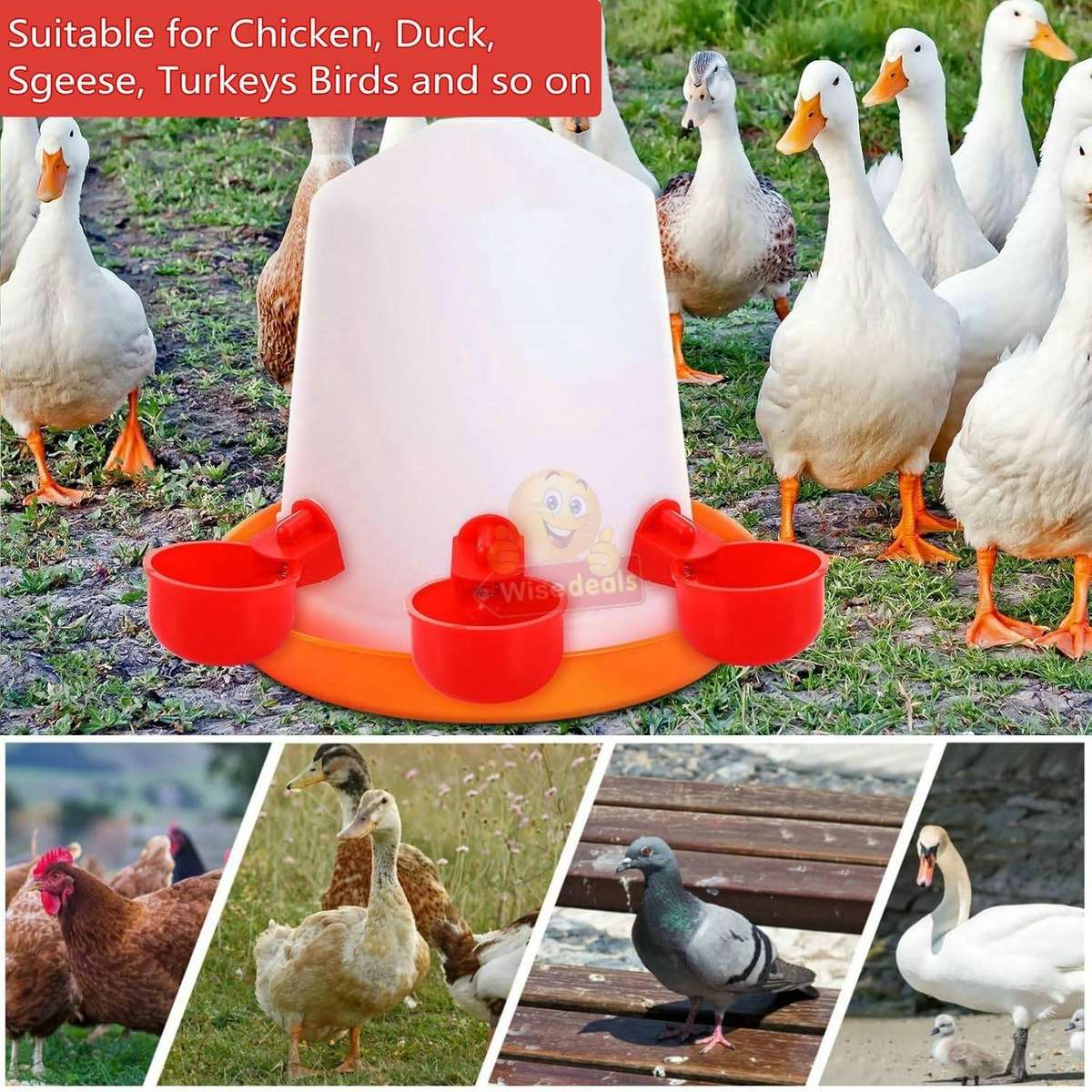 5 Piece Chicken Water Feeders with attachments