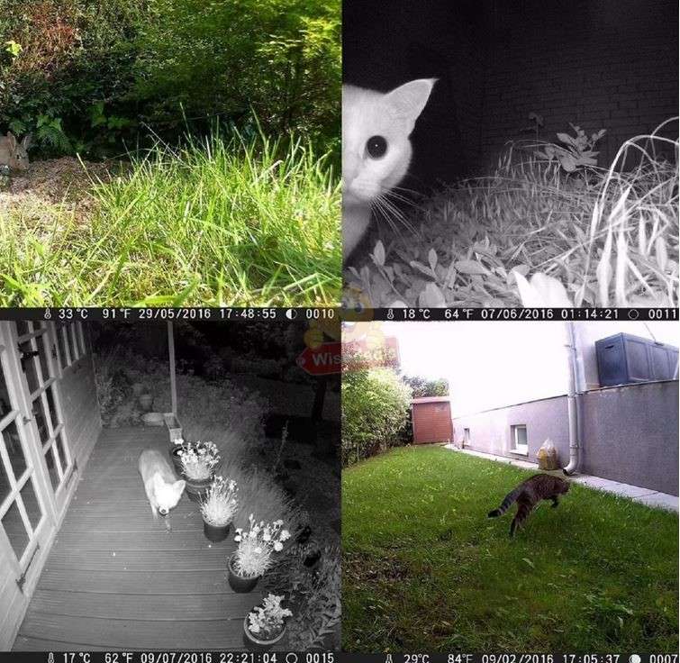 4K 20MP Dual-Lens Wide Angle Waterproof Night Vision Hunting Camera