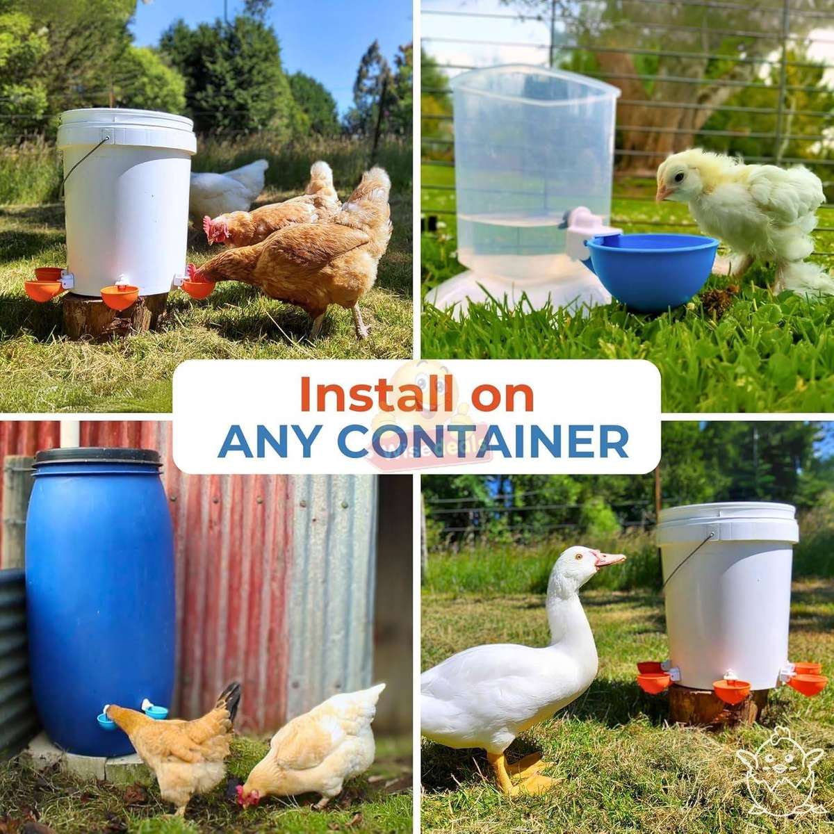 5 Piece Chicken Water Feeders with attachments