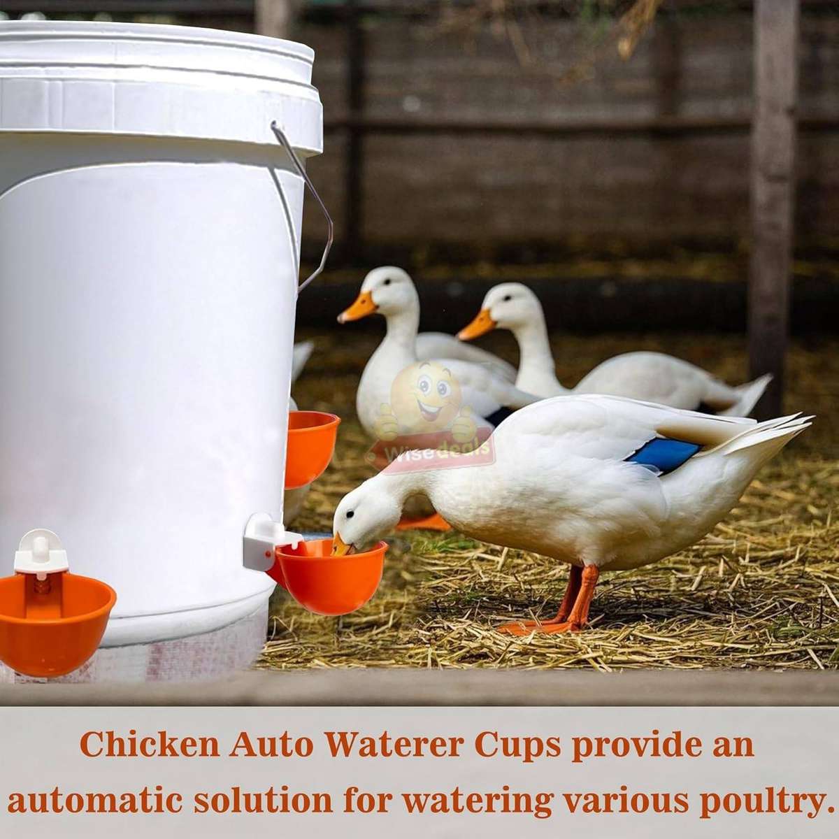 5 Piece Chicken Water Feeders with attachments