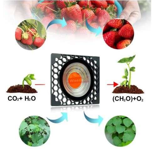 COB Full Spectrum Plant LED Grow Light