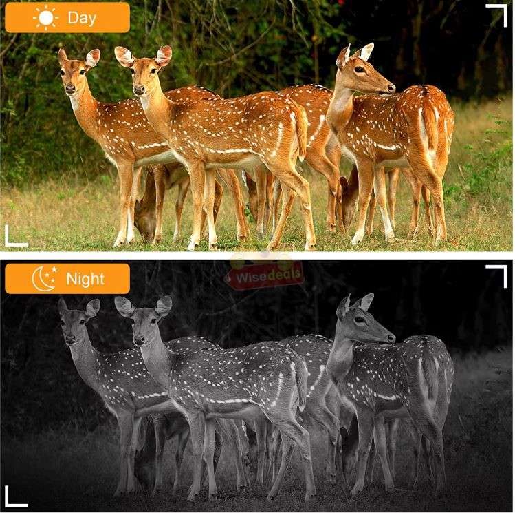 4K 20MP Dual-Lens Wide Angle Waterproof Night Vision Hunting Camera