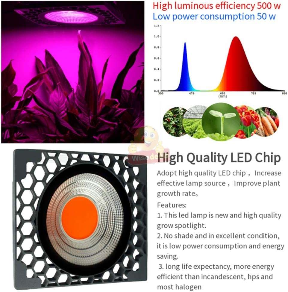 COB Full Spectrum Plant LED Grow Light