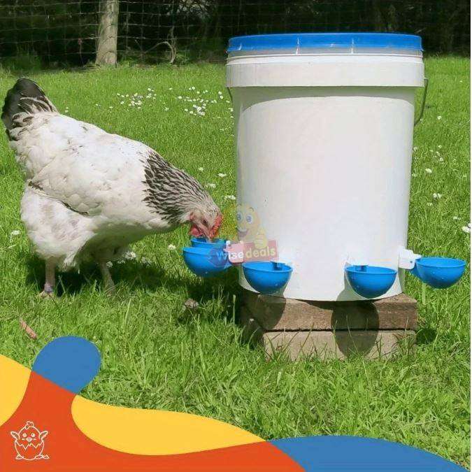 5 Piece Chicken Water Feeders with attachments