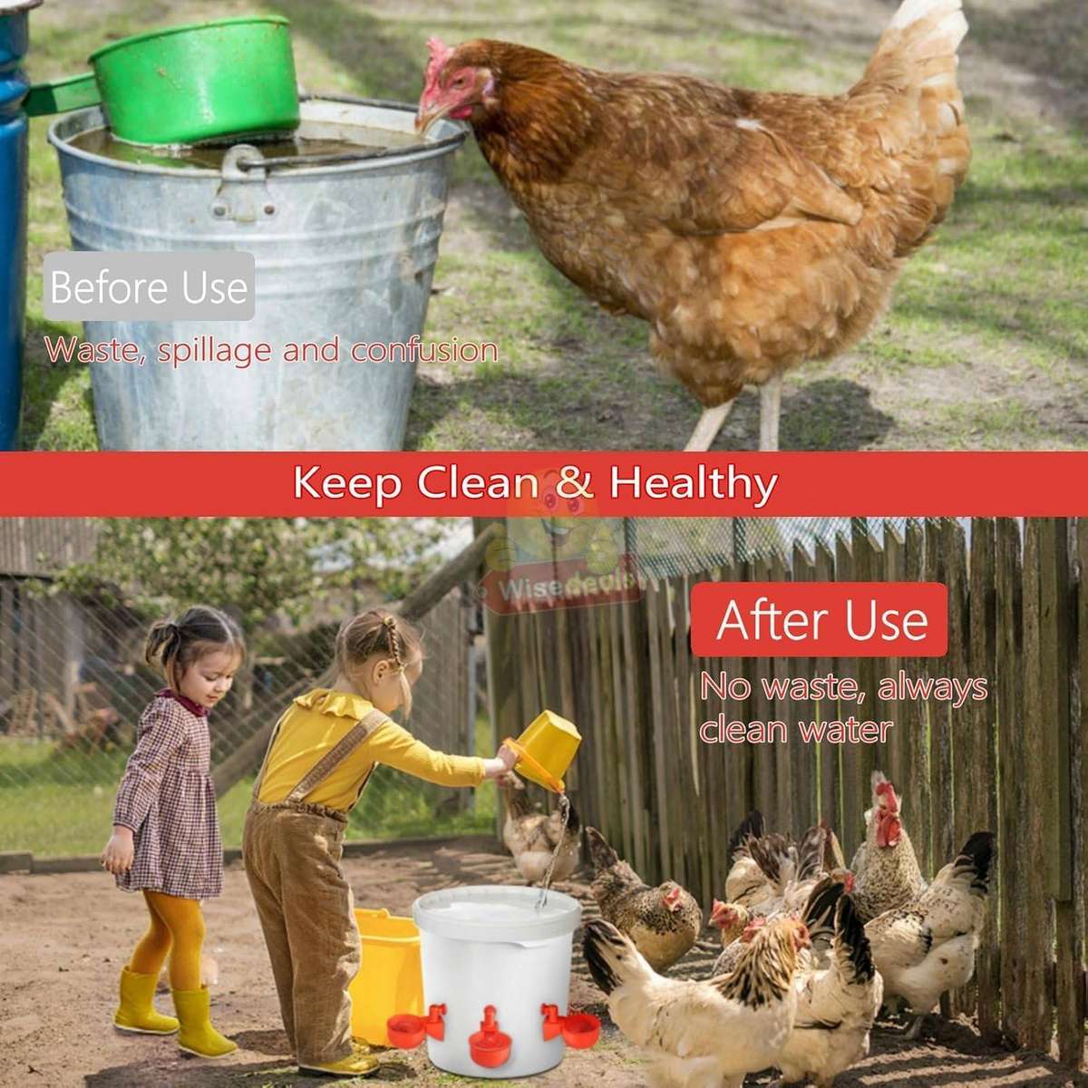 5 Piece Chicken Water Feeders with attachments
