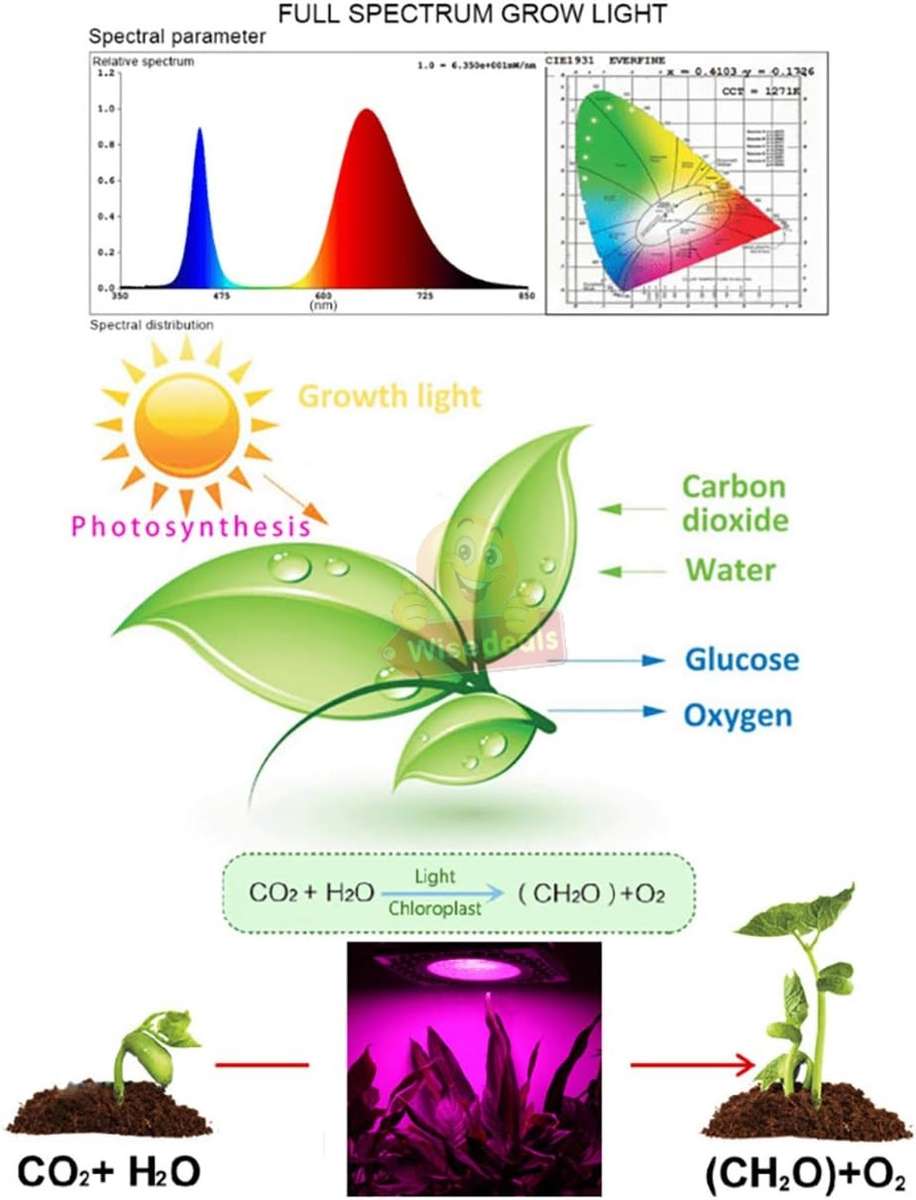 COB Full Spectrum Plant LED Grow Light