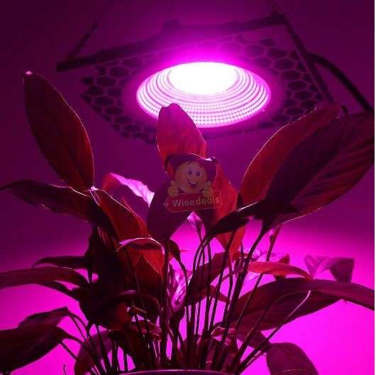 COB Full Spectrum Plant LED Grow Light