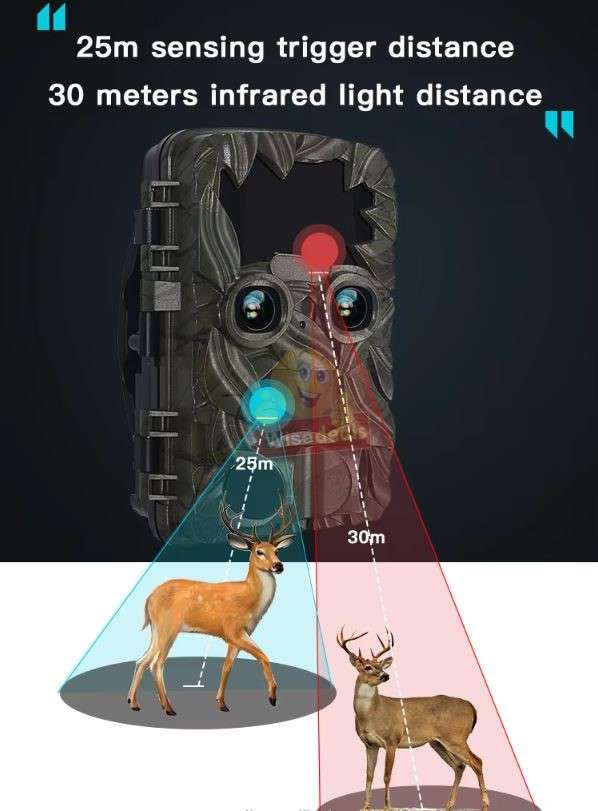 4K 20MP Dual-Lens Wide Angle Waterproof Night Vision Hunting Camera