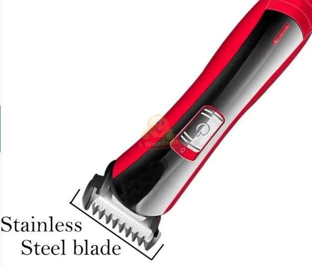 Professional Beard and Hair Trimmer Set in Black and Silver