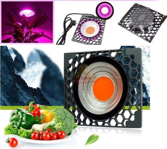 COB Full Spectrum Plant LED Grow Light