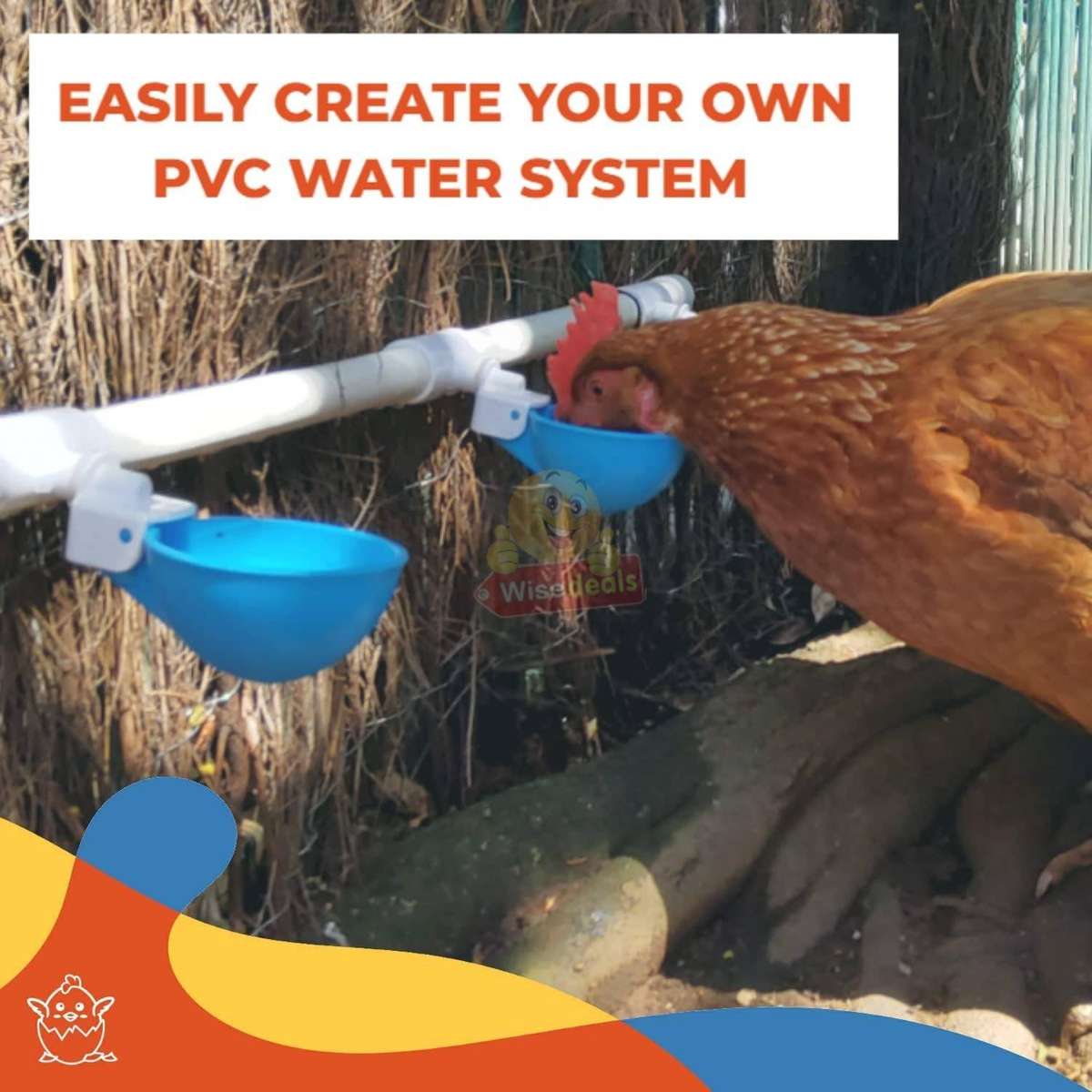 5 Piece Chicken Water Feeders with attachments