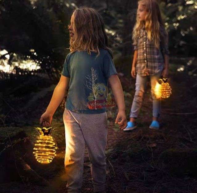 2 Piece SOLAR Pineapple Shape Outdoor Iron Wire Art Hanging Light