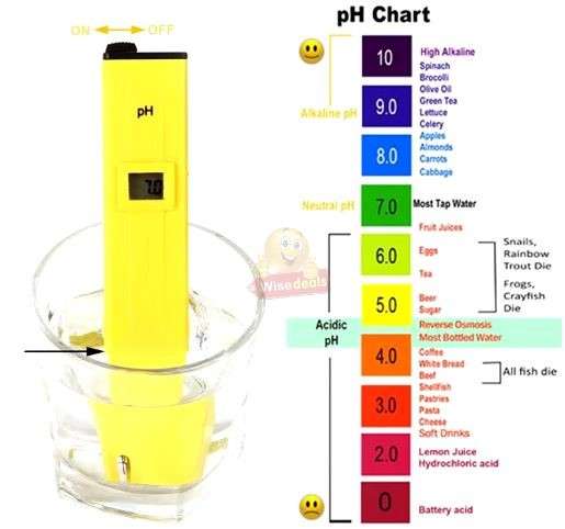 Portable Digital PH Tester with Screen calibration Screwdriver and carry case