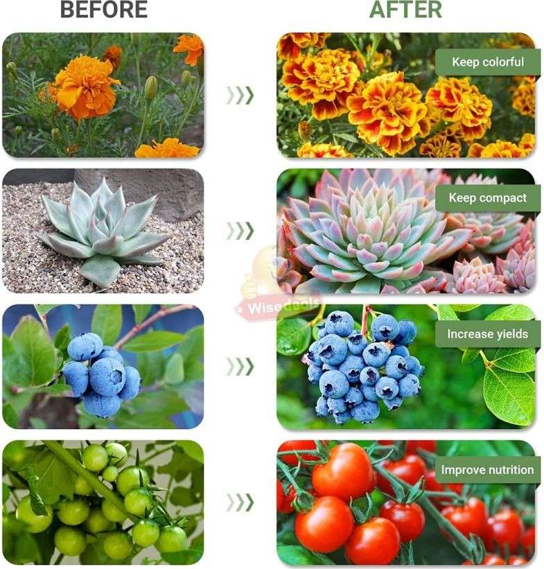 3 Adjustable Light Head LED Grow Light system