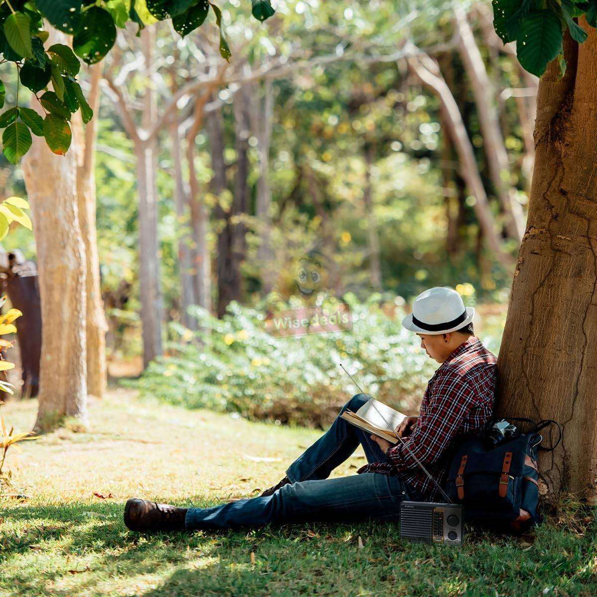 FM / AM / SW1  2 5 Band Radio