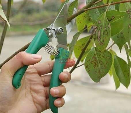 5 Piece Stainless Steel Garden Tool Set in a Secure and Durable Carry Case